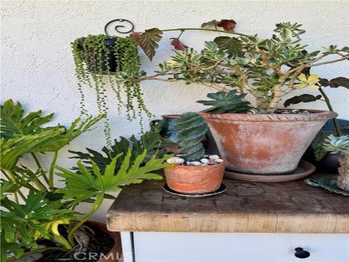 1109 W 21st   Street, Santa Ana, CA