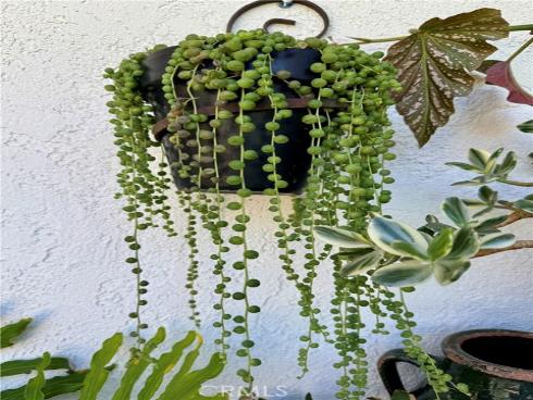 1109 W 21st   Street, Santa Ana, CA