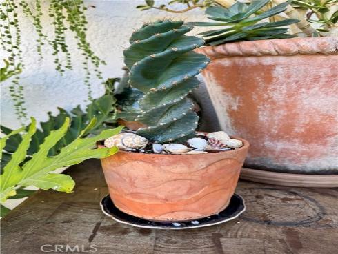 1109 W 21st   Street, Santa Ana, CA