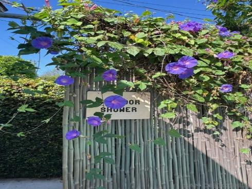 2602 N Louise  , Santa Ana, CA