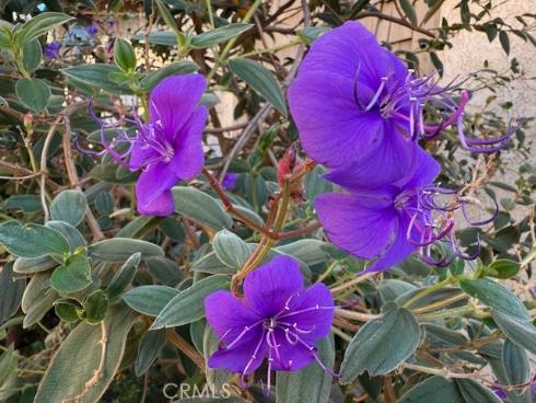 3050 S Bristol  2C , Santa Ana, CA