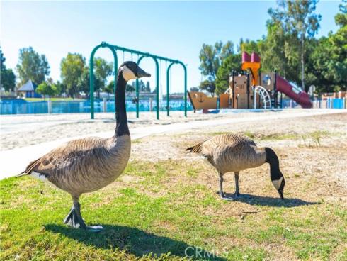 3318 W Borchard  , Santa Ana, CA