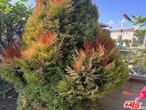 2142 W 11th   Street, Santa Ana, CA