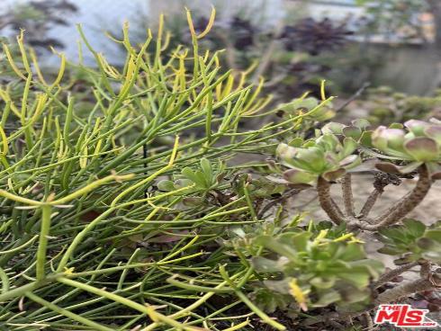 2142 W 11th   Street, Santa Ana, CA