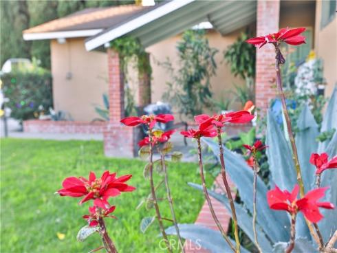 1820  Marine   Street, Santa Ana, CA