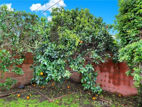 2218  Lewis   Street, Santa Ana, CA