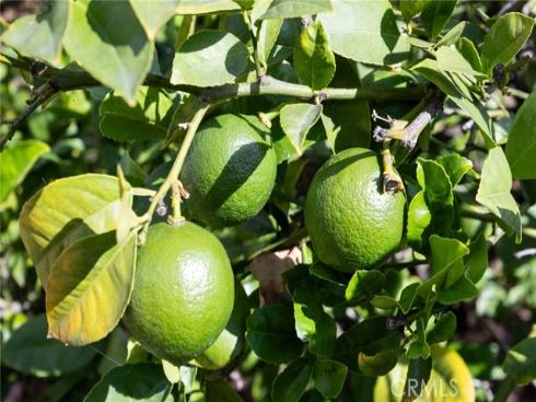 2324 N Riverside  , Santa Ana, CA