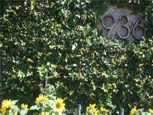 936 W River Lane, Santa Ana, CA