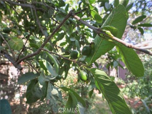 2310 Poinsettia , Santa Ana, CA
