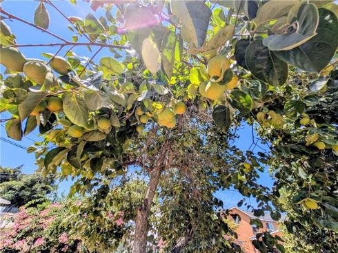 408 N Jackson Street, Santa Ana, CA