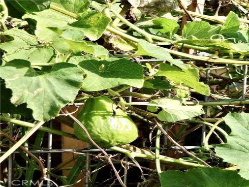 1891 Mckinney 26B Way, Seal Beach, CA