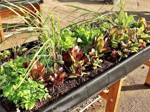 1891 Mckinney 26B Way, Seal Beach, CA