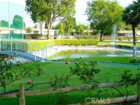 1562  Golden Rain  44C  M2, Seal Beach, CA