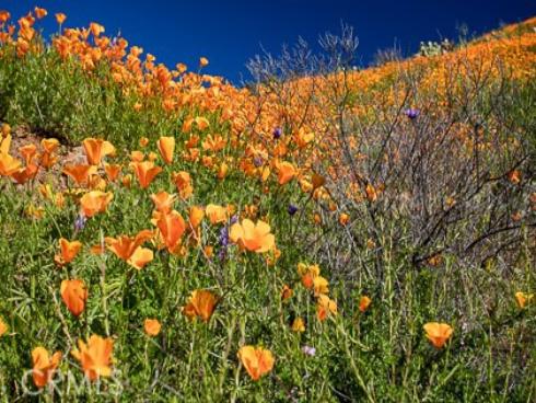 28181  Hidea Way  , Silverado Canyon, CA