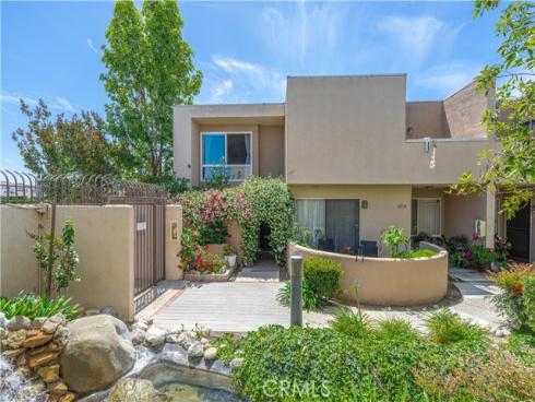10732 Knott