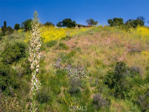 19731  Live Oak Canyon   Road, Trabuco Canyon, CA