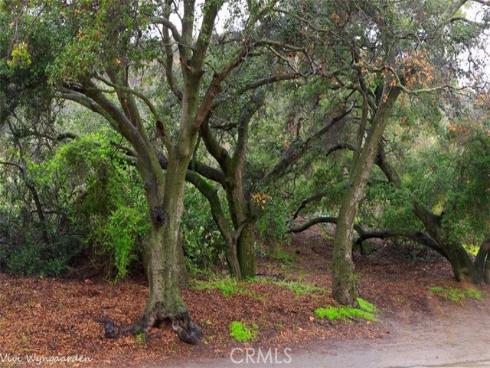 19731  Live Oak Canyon   Road, Trabuco Canyon, CA