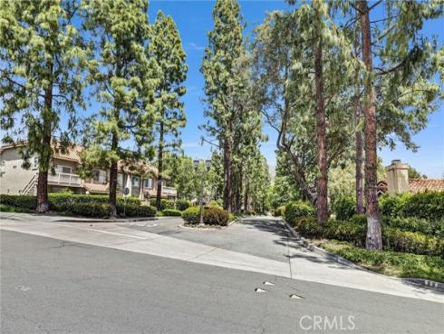 29009  Canyon Ridge  110  Drive, Trabuco Canyon, CA