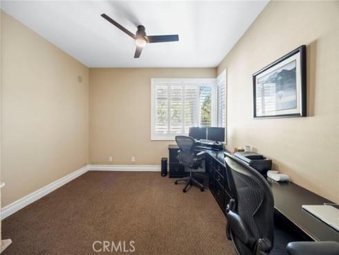 9  Swallows  , Trabuco Canyon, CA