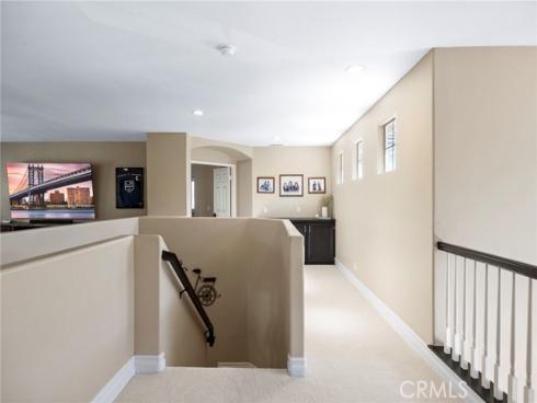 9  Swallows  , Trabuco Canyon, CA