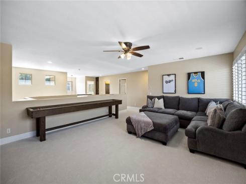 9  Swallows  , Trabuco Canyon, CA