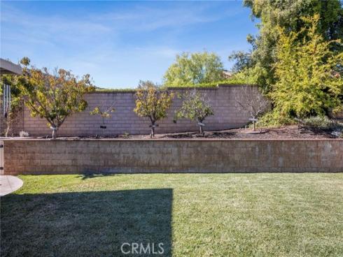 9  Swallows  , Trabuco Canyon, CA