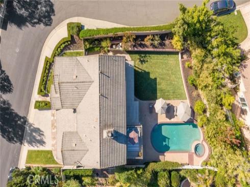 9  Swallows  , Trabuco Canyon, CA