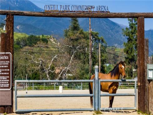 20462  Pine   Road, Trabuco Canyon, CA