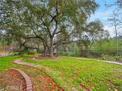 20412  Sycamore   Drive, Trabuco Canyon, CA