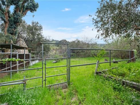 20412  Sycamore   Drive, Trabuco Canyon, CA