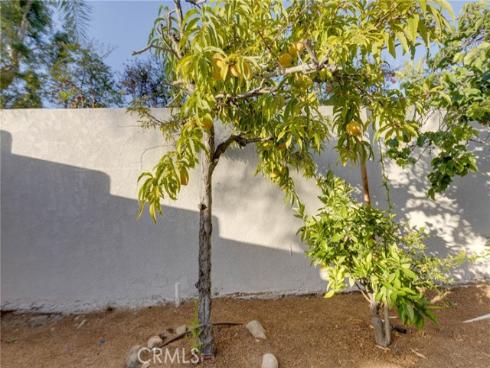 31952  Mill Stream  , Trabuco Canyon, CA