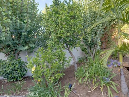 31952  Mill Stream  , Trabuco Canyon, CA