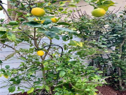 12891 Mackenzie Drive, Tustin, CA