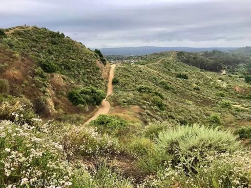 10533  Emerson Bend  , Tustin, CA