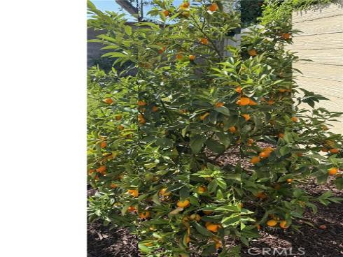 13679  Iroquois  , Tustin, CA