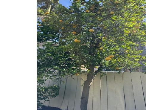 13679  Iroquois  , Tustin, CA