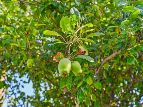 1382  Lance Drive  , Tustin, CA