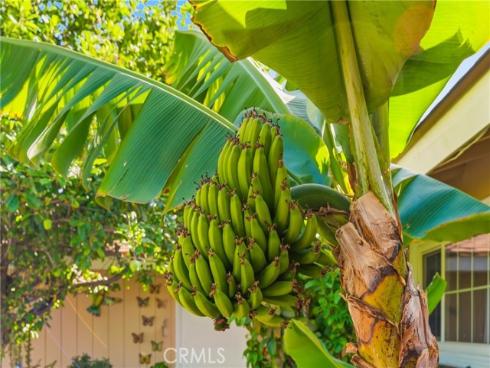 1382  Lance Drive  , Tustin, CA