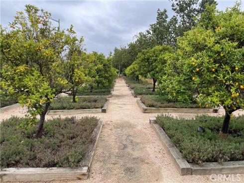 12817  Ternberry   Court, Tustin, CA