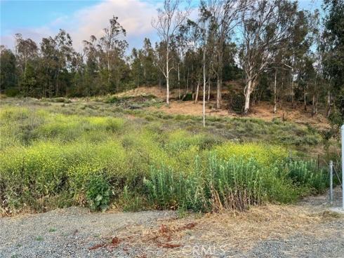 10951 Alderman Avenue, Tustin, CA