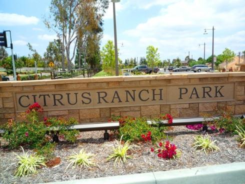11739  Willard   Avenue, Tustin, CA