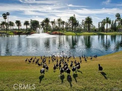 2491  Aquasanta  , Tustin, CA