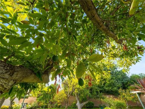 18471  Hillcrest  , Villa Park, CA