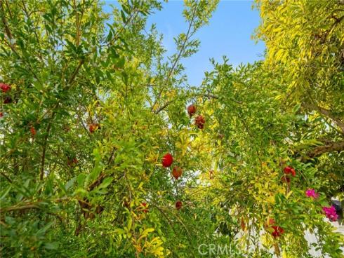 18471  Hillcrest  , Villa Park, CA