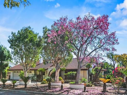 18342  Adams Ranch  , Villa Park, CA