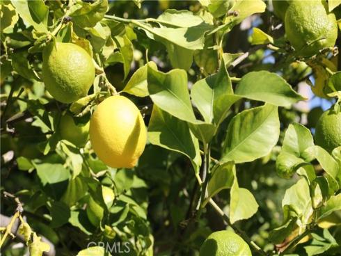 10762 Center Drive, Villa Park, CA