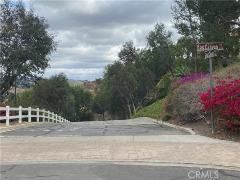 5225  Box Canyon  21A  Court, Yorba Linda, CA