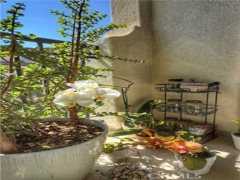 18314 Maidenhair Way, Yorba Linda, CA