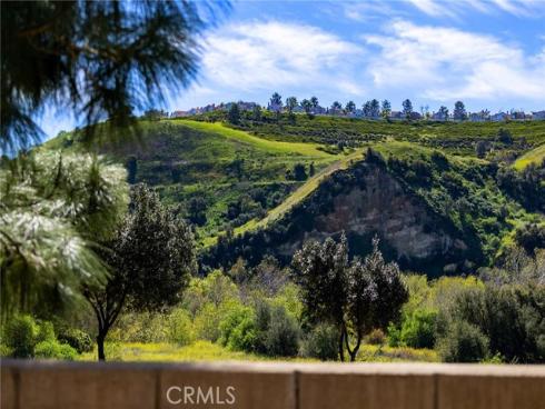 23330  Dover  , Yorba Linda, CA