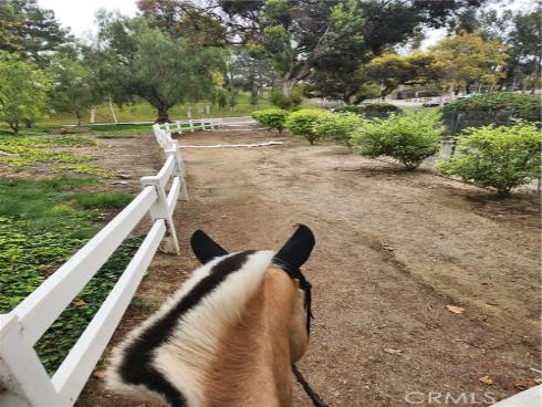 5821  Blueberry   Street, Yorba Linda, CA